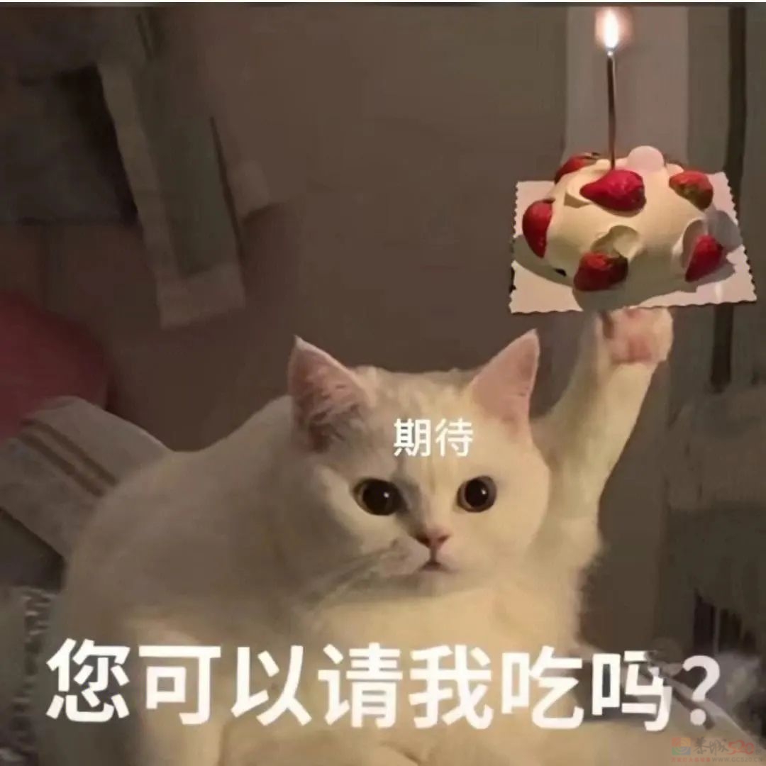 洗草莓千万别摘草莓蒂！原因是......302 / 作者:健康小天使 / 帖子ID:312864