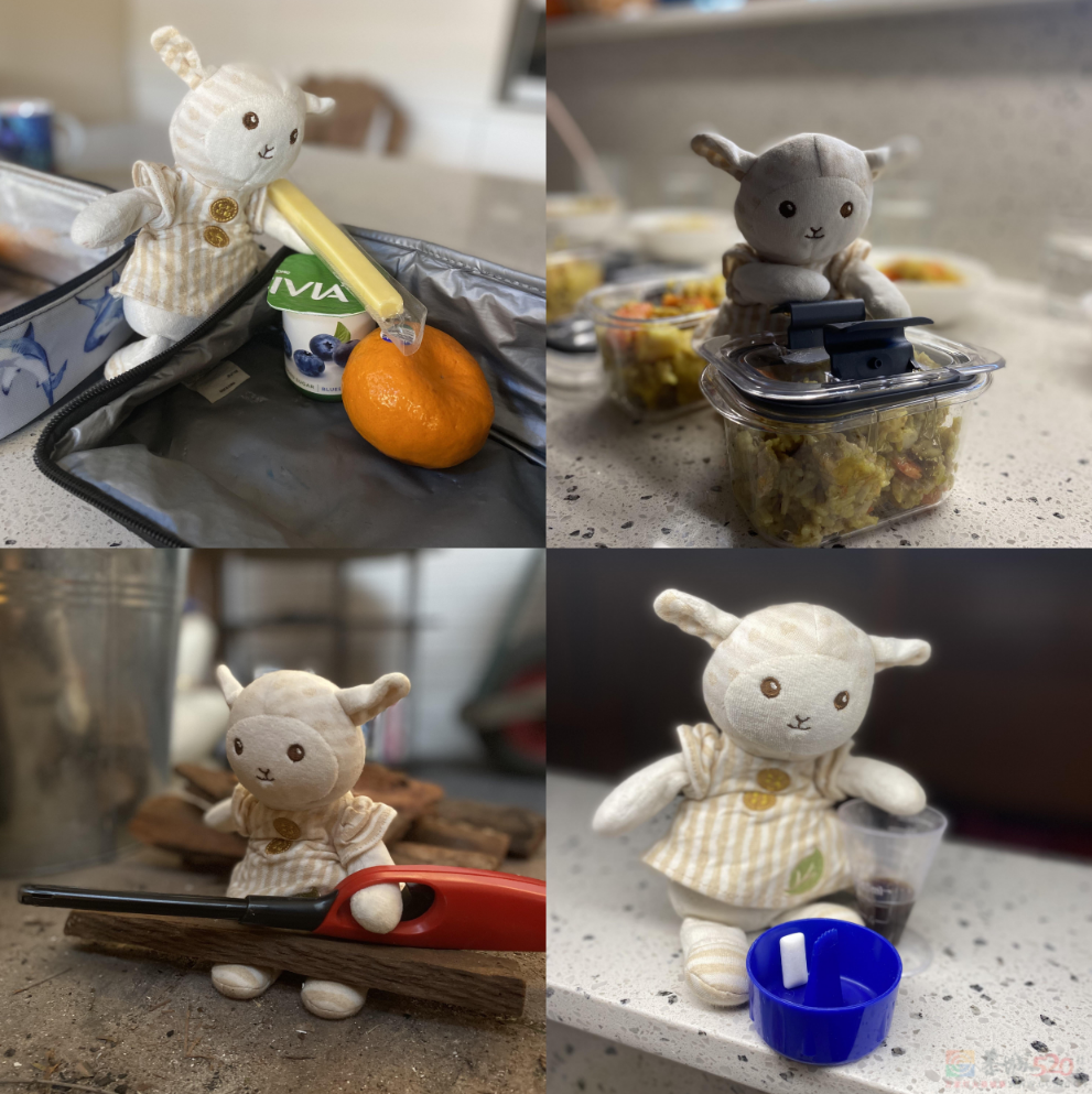 如果你有点低落，这些照片也许能让你微笑～715 / 作者:儿时的回忆 / 帖子ID:312887