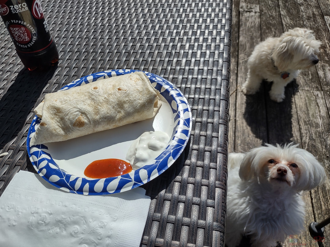 如果你有点低落，这些照片也许能让你微笑～566 / 作者:儿时的回忆 / 帖子ID:312887