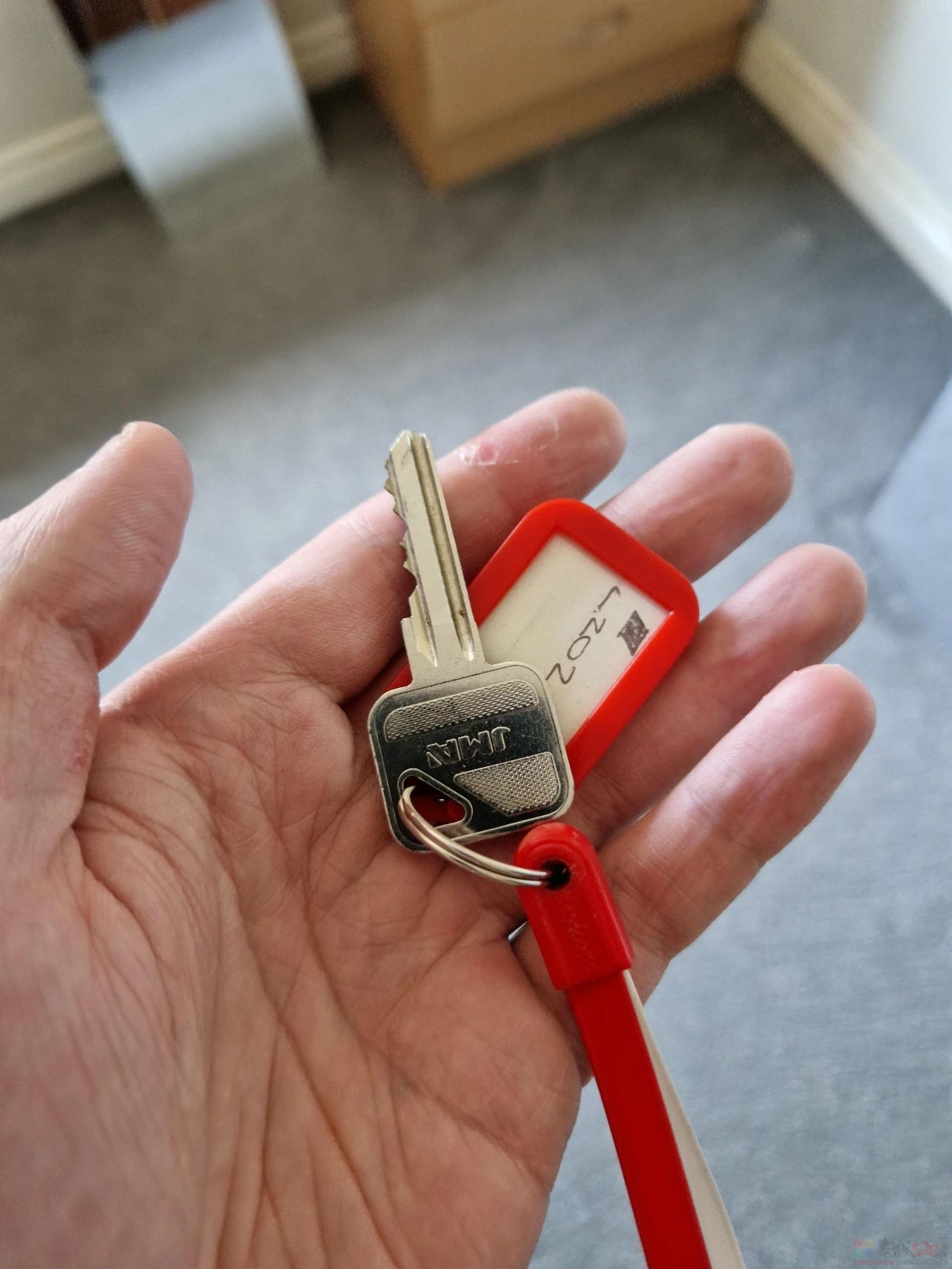 如果你有点低落，这些照片也许能让你微笑～709 / 作者:儿时的回忆 / 帖子ID:312887