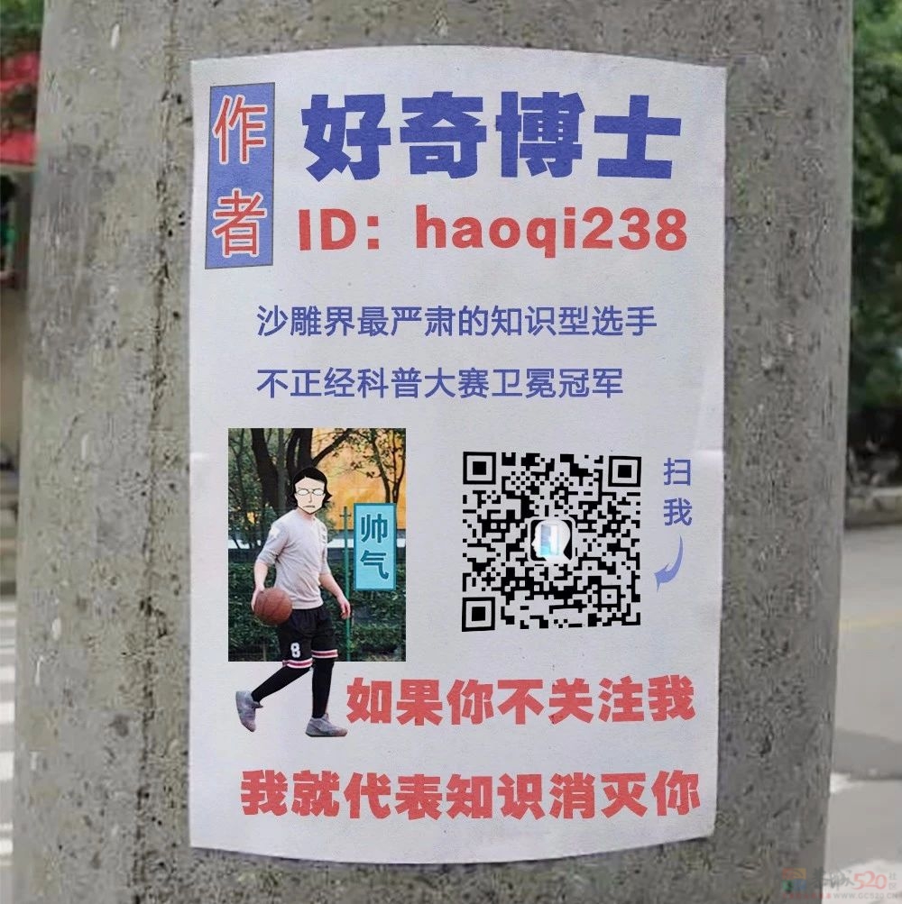 久坐 VS 久站 VS 久躺，哪个对身体伤害更大？793 / 作者:儿时的回忆 / 帖子ID:312926