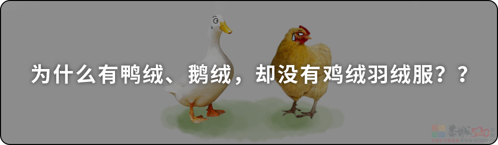 久坐 VS 久站 VS 久躺，哪个对身体伤害更大？123 / 作者:儿时的回忆 / 帖子ID:312926