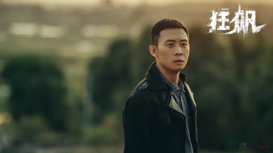 张译，这一年都演了啥997 / 作者:该做的事情 / 帖子ID:312987