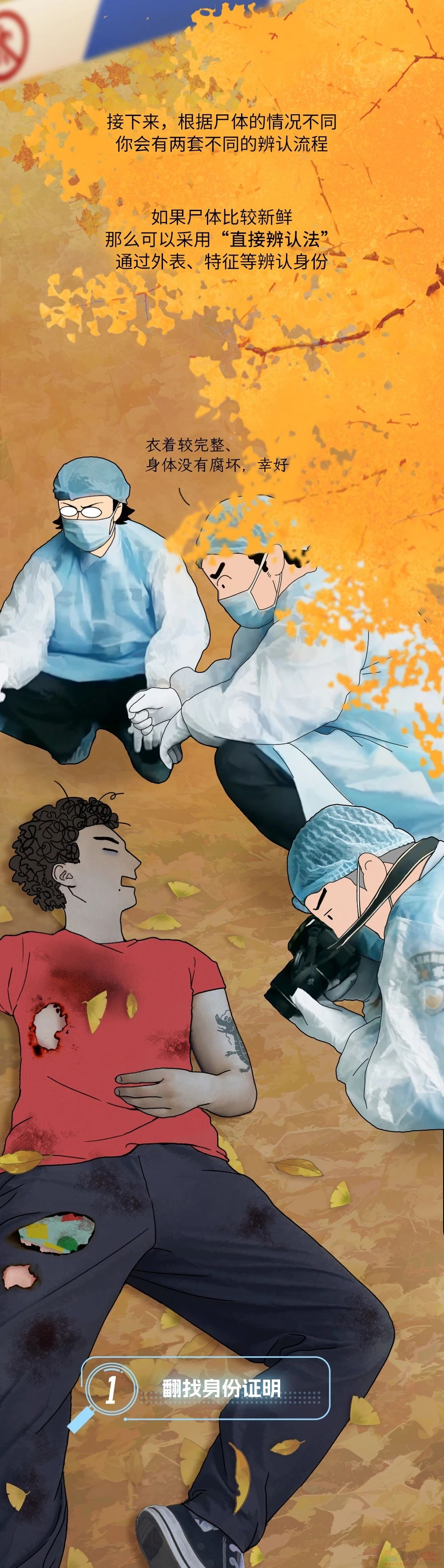 辨认一具无名尸体，要分几步？387 / 作者:儿时的回忆 / 帖子ID:313002