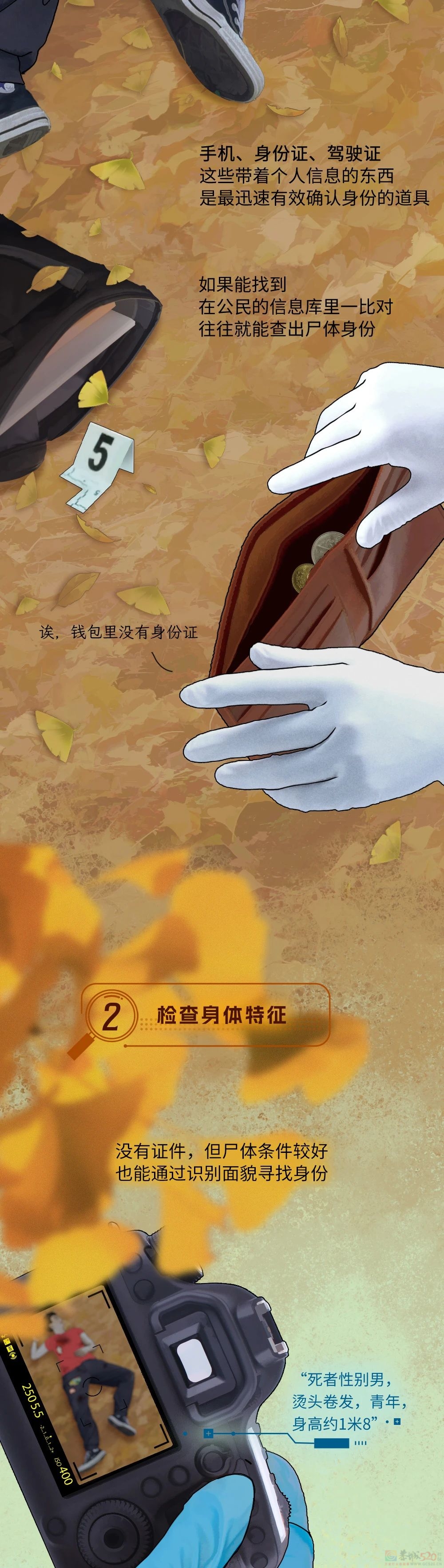 辨认一具无名尸体，要分几步？598 / 作者:儿时的回忆 / 帖子ID:313002