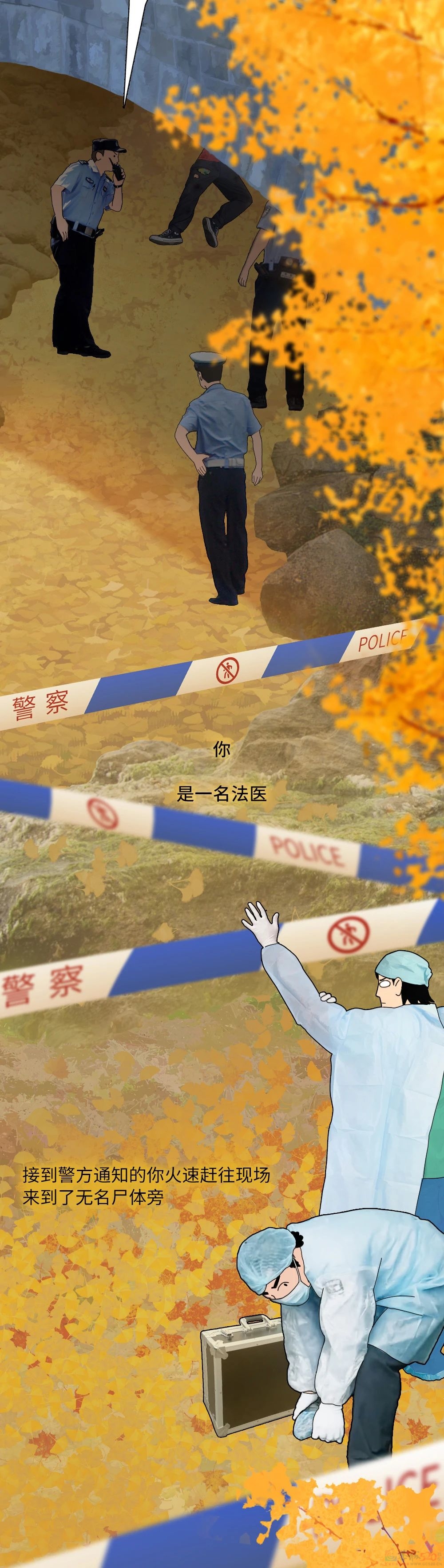 辨认一具无名尸体，要分几步？858 / 作者:儿时的回忆 / 帖子ID:313002