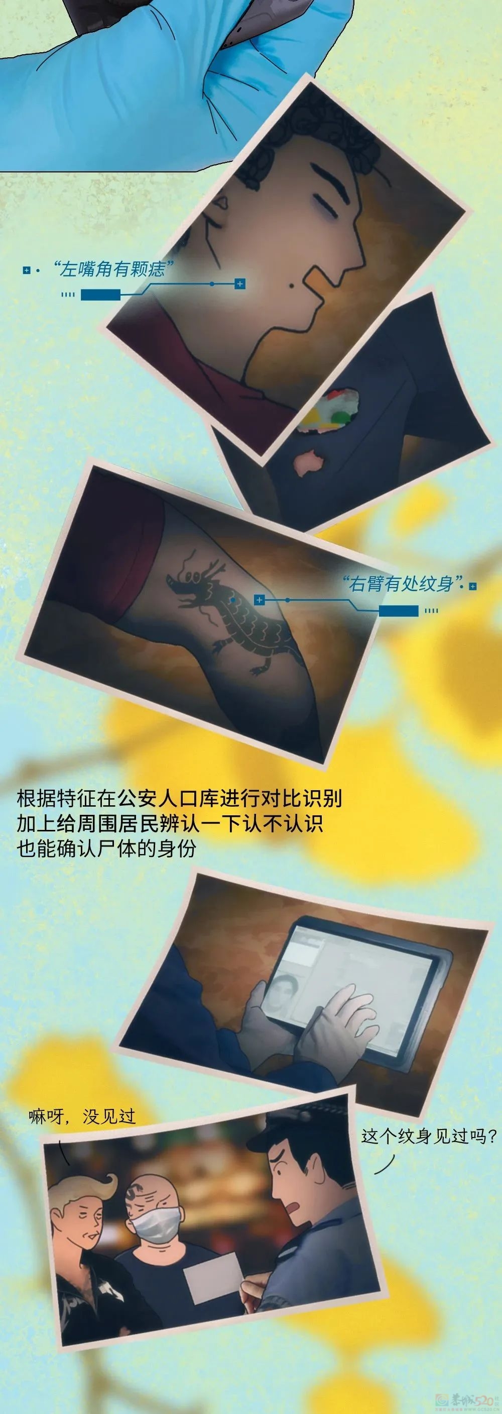 辨认一具无名尸体，要分几步？941 / 作者:儿时的回忆 / 帖子ID:313002