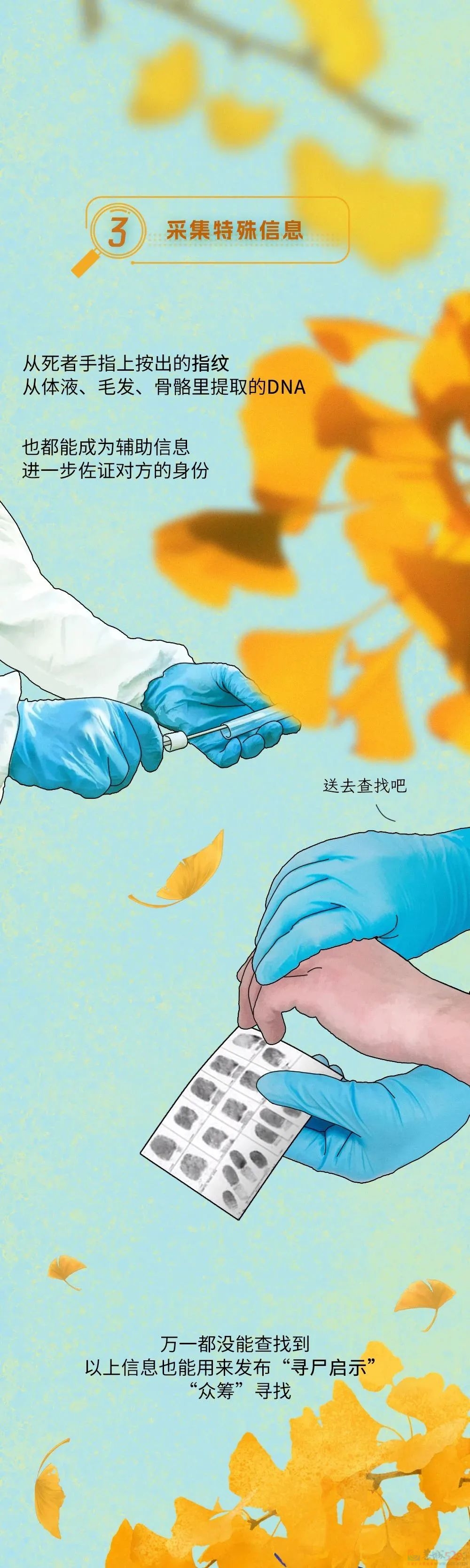 辨认一具无名尸体，要分几步？240 / 作者:儿时的回忆 / 帖子ID:313002