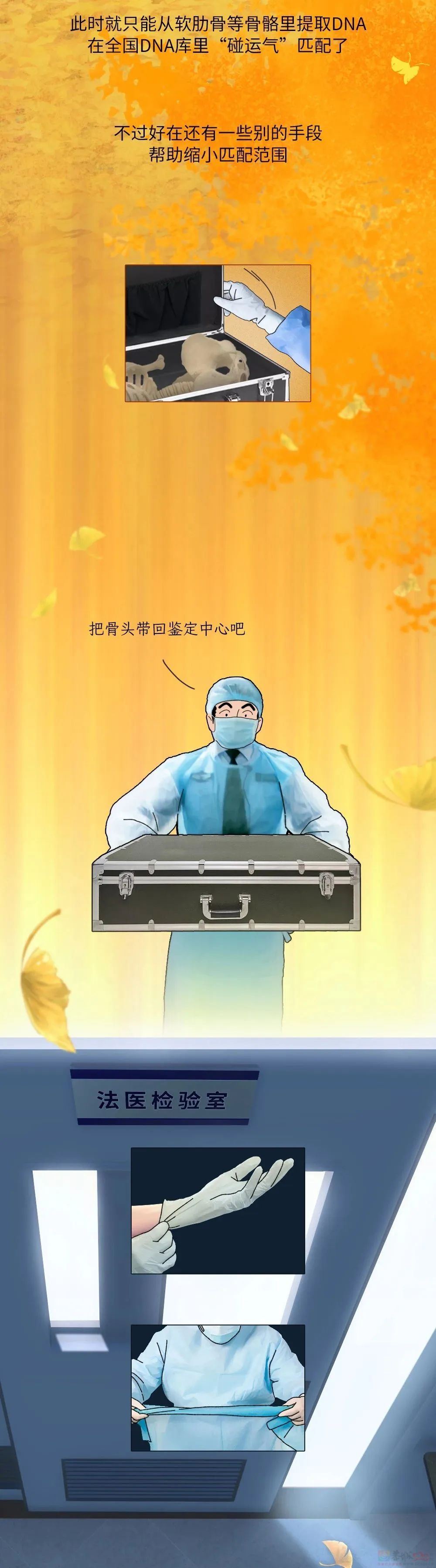 辨认一具无名尸体，要分几步？105 / 作者:儿时的回忆 / 帖子ID:313002