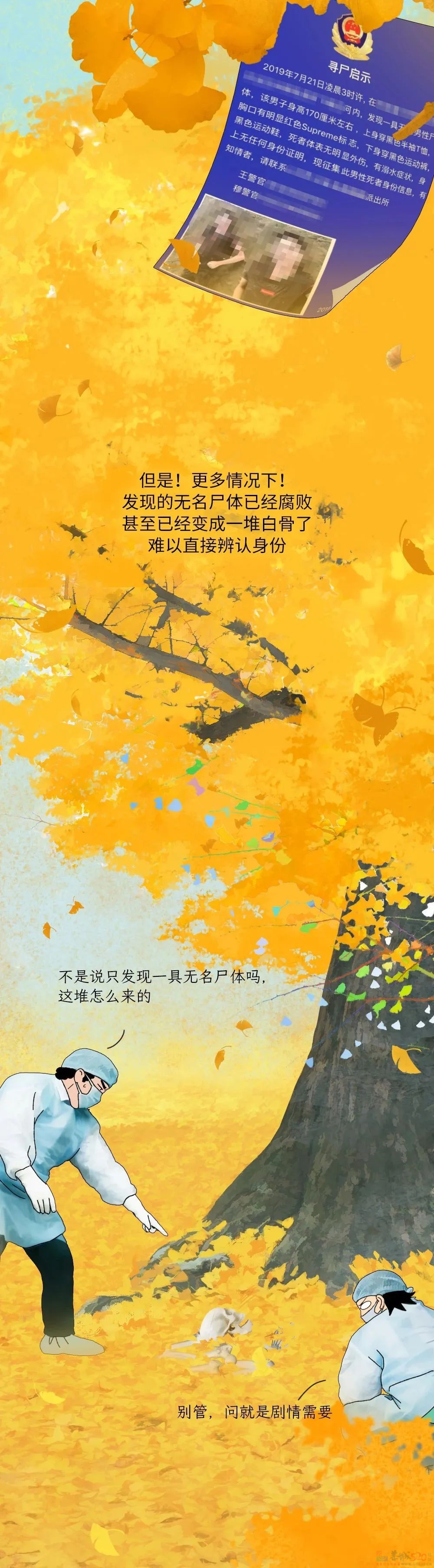 辨认一具无名尸体，要分几步？663 / 作者:儿时的回忆 / 帖子ID:313002