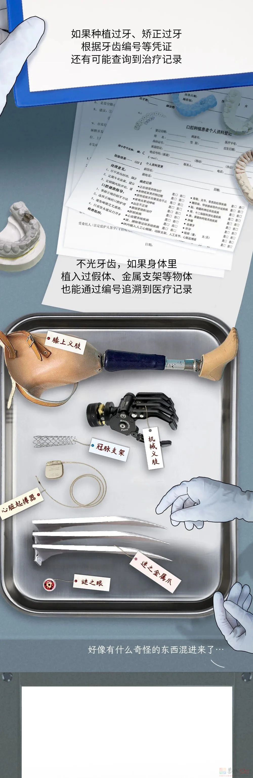 辨认一具无名尸体，要分几步？778 / 作者:儿时的回忆 / 帖子ID:313002