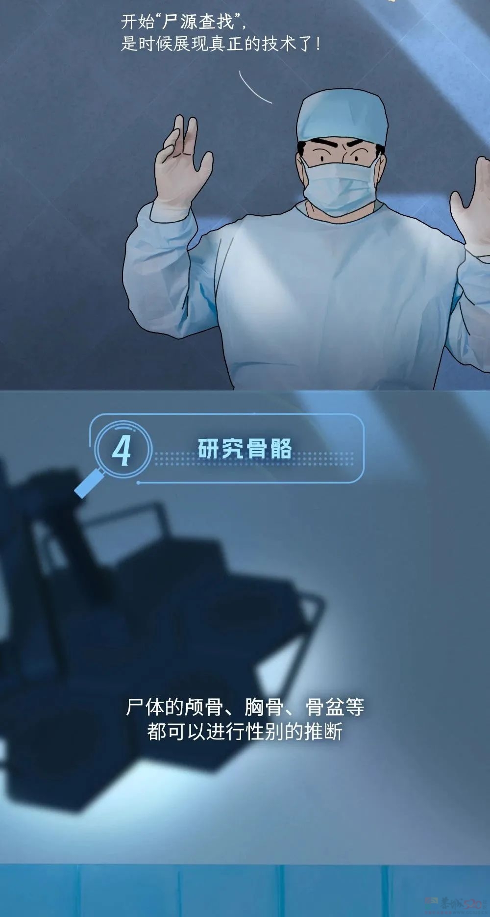 辨认一具无名尸体，要分几步？169 / 作者:儿时的回忆 / 帖子ID:313002