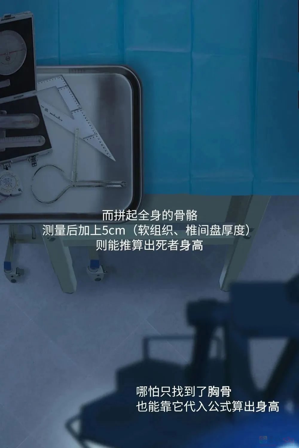 辨认一具无名尸体，要分几步？912 / 作者:儿时的回忆 / 帖子ID:313002