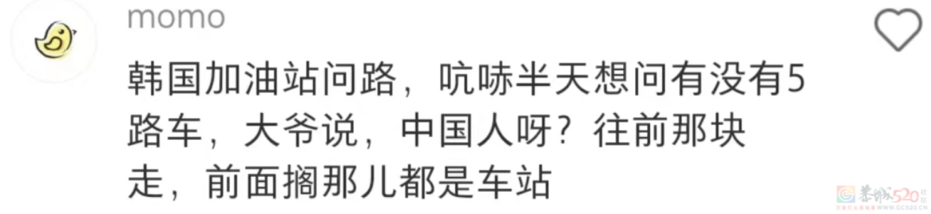 第一批实践“人生是旷野”的年轻人，发现旷野挤满了旅游的中国人778 / 作者:儿时的回忆 / 帖子ID:313033
