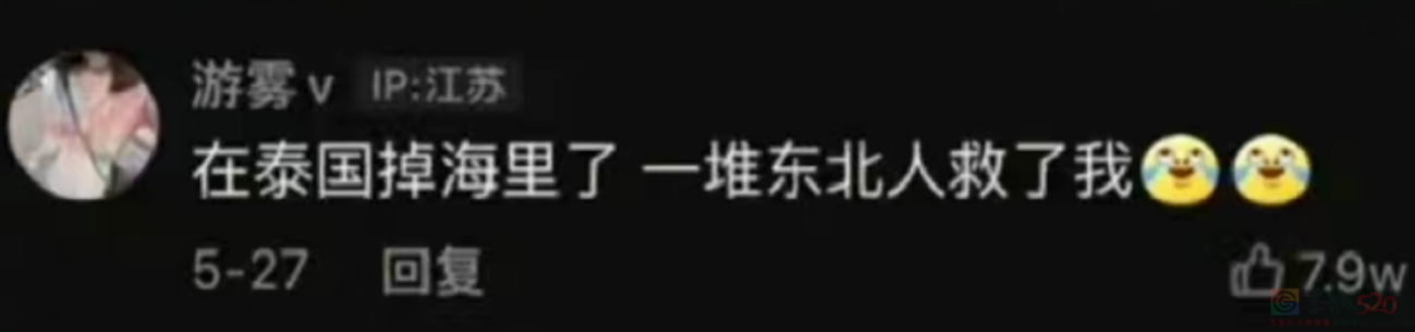 第一批实践“人生是旷野”的年轻人，发现旷野挤满了旅游的中国人146 / 作者:儿时的回忆 / 帖子ID:313033