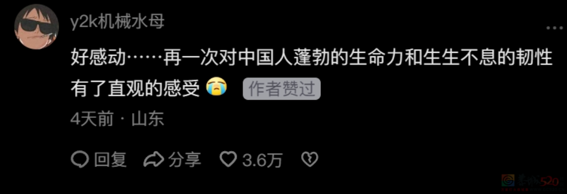 第一批实践“人生是旷野”的年轻人，发现旷野挤满了旅游的中国人321 / 作者:儿时的回忆 / 帖子ID:313033