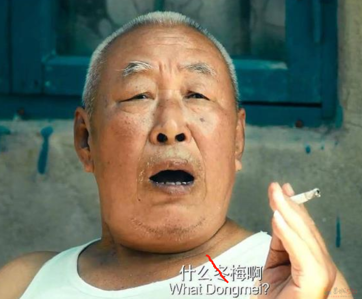 今年头号破防大新闻，全国网友都在“控诉”被家乡背刺0 / 作者:儿时的回忆 / 帖子ID:313052