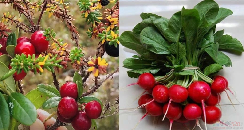 今年头号破防大新闻，全国网友都在“控诉”被家乡背刺802 / 作者:儿时的回忆 / 帖子ID:313052