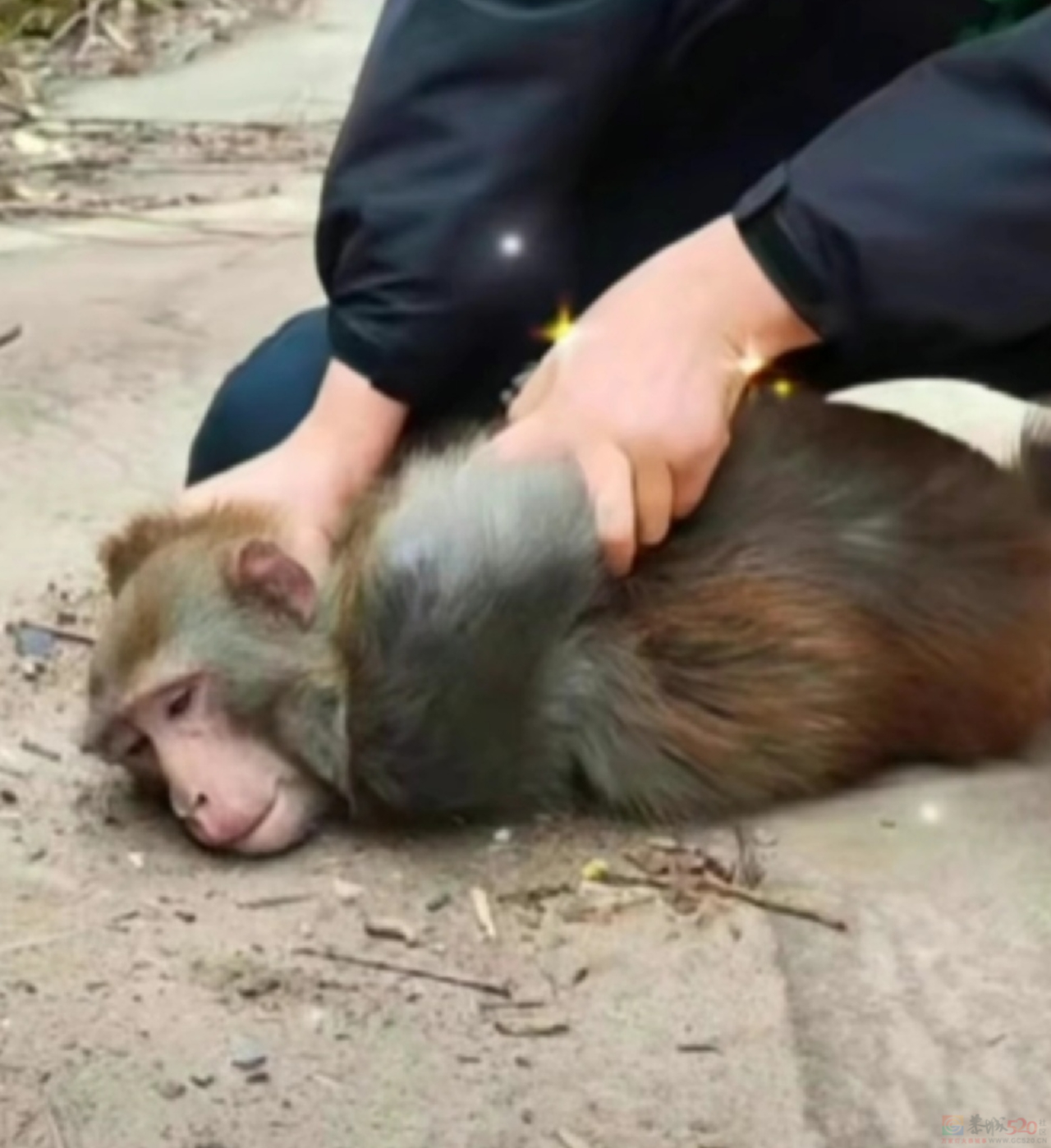 今年头号破防大新闻，全国网友都在“控诉”被家乡背刺811 / 作者:儿时的回忆 / 帖子ID:313052