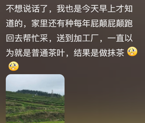 今年头号破防大新闻，全国网友都在“控诉”被家乡背刺193 / 作者:儿时的回忆 / 帖子ID:313052