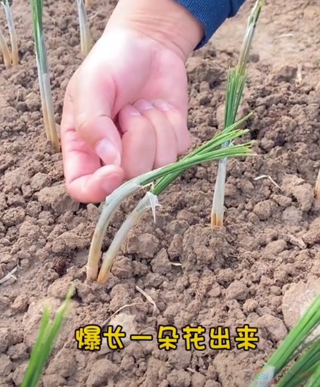 今年头号破防大新闻，全国网友都在“控诉”被家乡背刺603 / 作者:儿时的回忆 / 帖子ID:313052