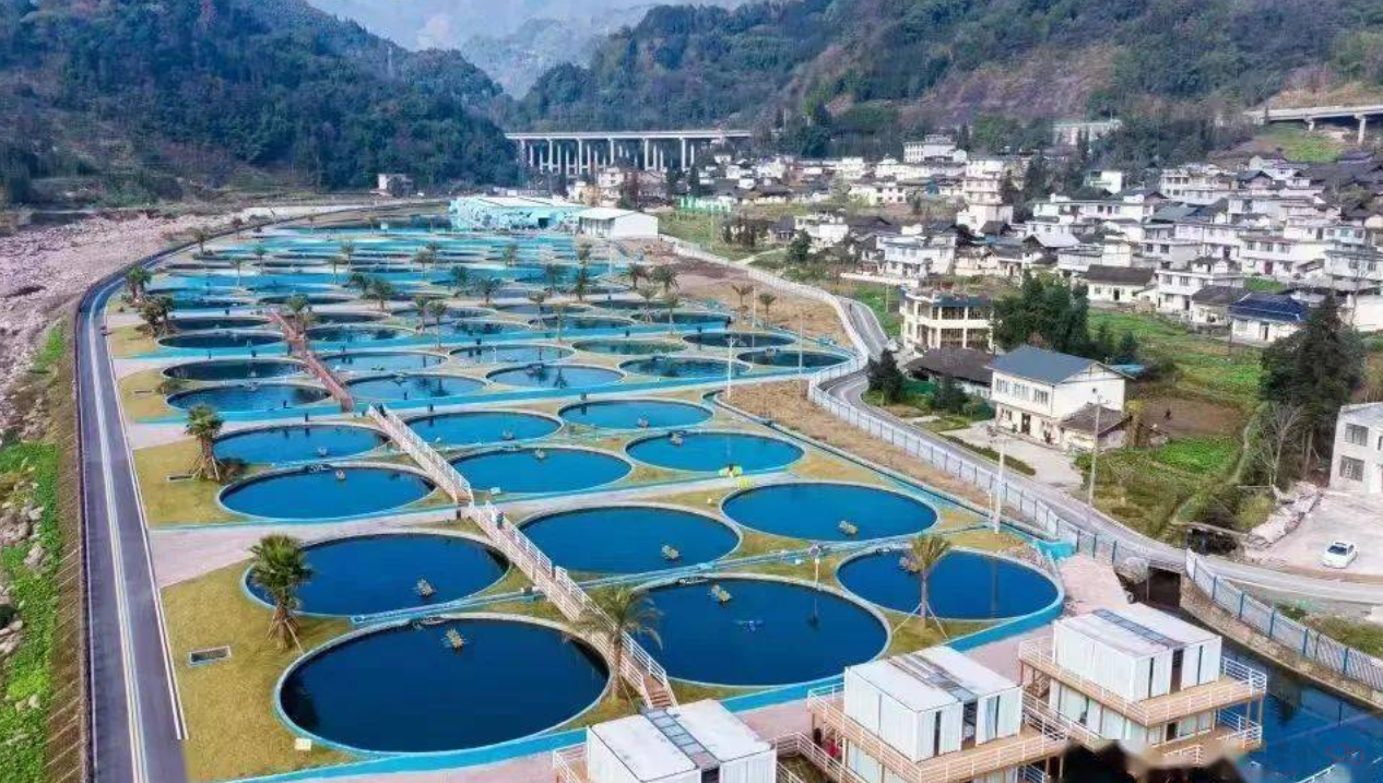 今年头号破防大新闻，全国网友都在“控诉”被家乡背刺675 / 作者:儿时的回忆 / 帖子ID:313052