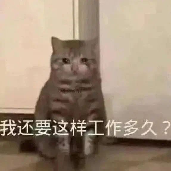 最爱长结节的工作上热搜了，年轻人看见就气得翻白眼973 / 作者:儿时的回忆 / 帖子ID:313085