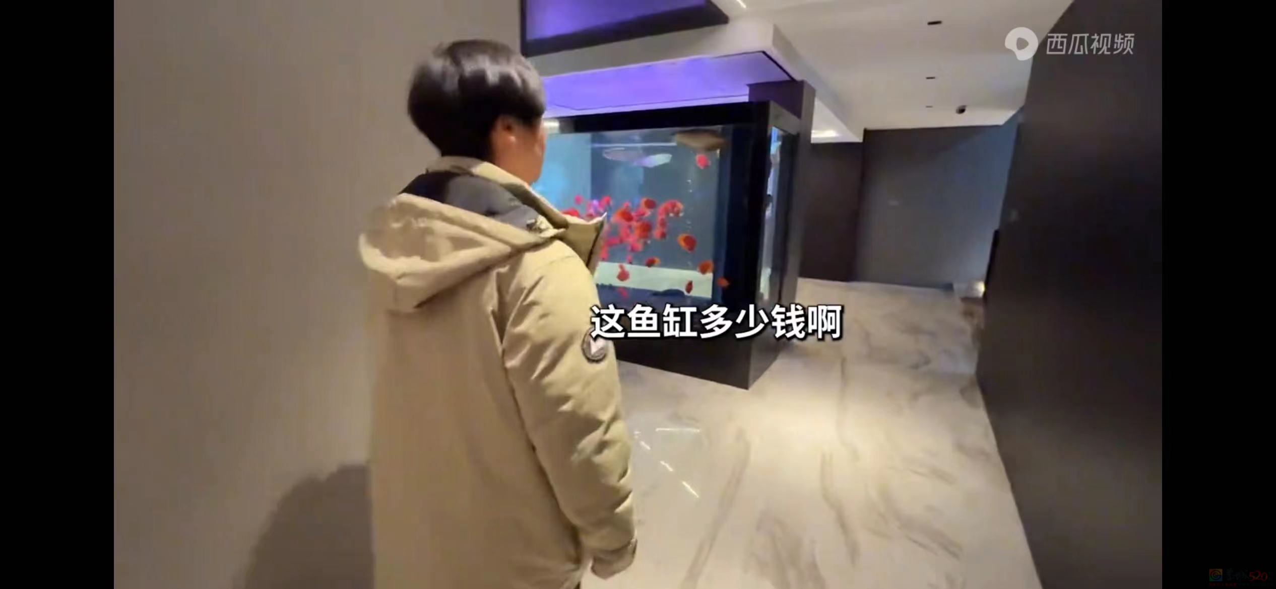 麻辣王子家的公子被瞒20年，才知道自己是富二代。。。69 / 作者:放眼看世界 / 帖子ID:313103