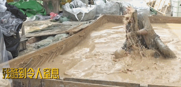 天王还值得相信多少次252 / 作者:该做的事情 / 帖子ID:313119