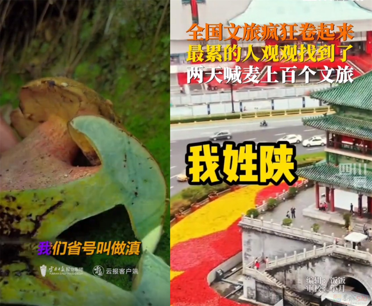 全国文旅狂抢热搜三天，捅出的丢人段子可以笑三年968 / 作者:儿时的回忆 / 帖子ID:313164