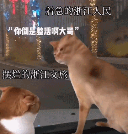 全国文旅狂抢热搜三天，捅出的丢人段子可以笑三年267 / 作者:儿时的回忆 / 帖子ID:313164