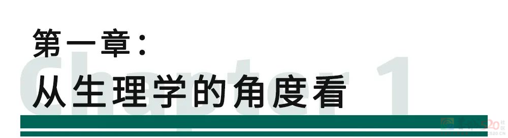 男生秋裤前为啥开个洞？居然TM不是用来尿尿的！786 / 作者:儿时的回忆 / 帖子ID:313273
