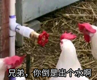 男生秋裤前为啥开个洞？居然TM不是用来尿尿的！236 / 作者:儿时的回忆 / 帖子ID:313273