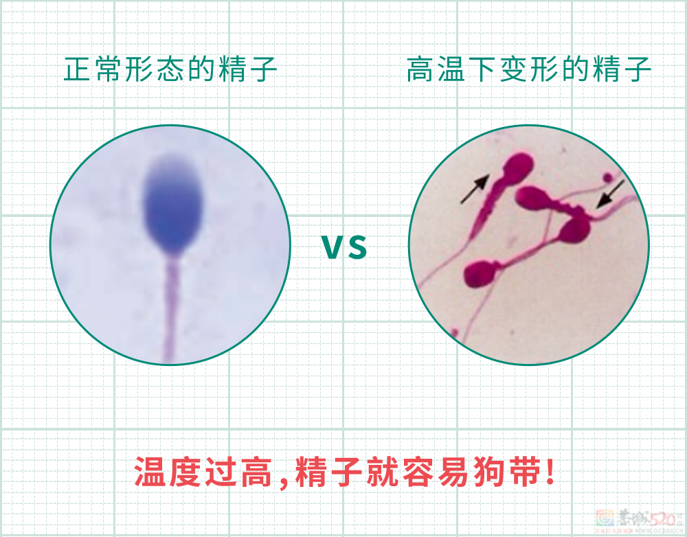 男生秋裤前为啥开个洞？居然TM不是用来尿尿的！288 / 作者:儿时的回忆 / 帖子ID:313273