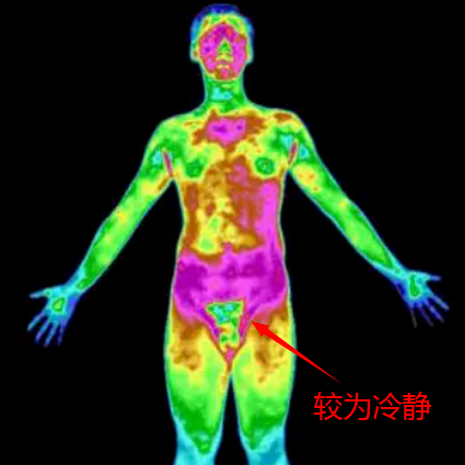 男生秋裤前为啥开个洞？居然TM不是用来尿尿的！631 / 作者:儿时的回忆 / 帖子ID:313273