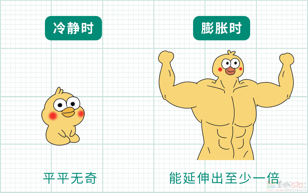 男生秋裤前为啥开个洞？居然TM不是用来尿尿的！470 / 作者:儿时的回忆 / 帖子ID:313273