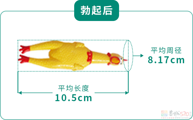 男生秋裤前为啥开个洞？居然TM不是用来尿尿的！500 / 作者:儿时的回忆 / 帖子ID:313273