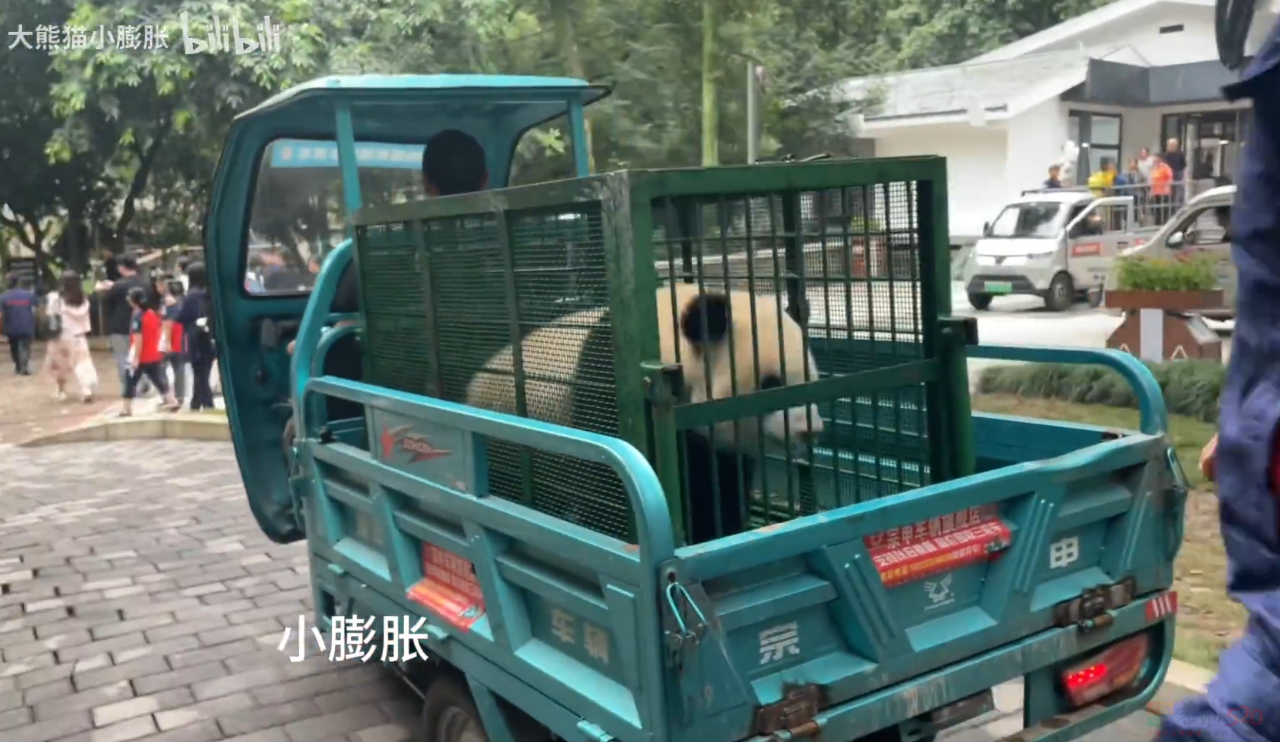 都以为这“县城神车”过气，没想到它在国外身价翻了140倍359 / 作者:儿时的回忆 / 帖子ID:313309