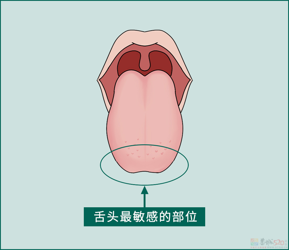 舌头接触面积得多大，才称得上是舌吻？！????621 / 作者:儿时的回忆 / 帖子ID:313401
