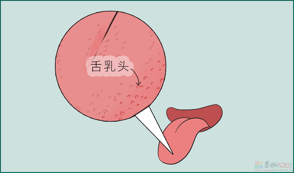 舌头接触面积得多大，才称得上是舌吻？！????453 / 作者:儿时的回忆 / 帖子ID:313401