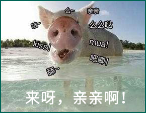 舌头接触面积得多大，才称得上是舌吻？！????131 / 作者:儿时的回忆 / 帖子ID:313401