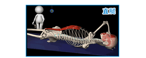 为啥女生趴在床上时，总忍不住把腿翘起来？381 / 作者:儿时的回忆 / 帖子ID:313448