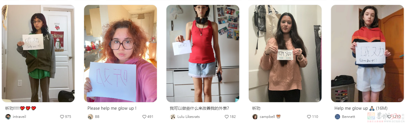 中国审美统一全网？外国人集体发帖求爆改：我也想做听劝的人275 / 作者:放眼看世界 / 帖子ID:313461