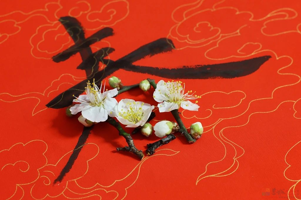立春，我们吃点啥？920 / 作者:登山涉水 / 帖子ID:313482