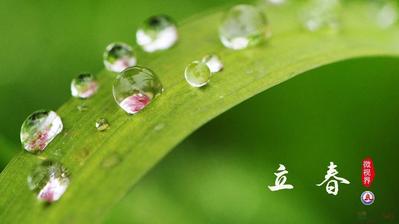 立春，我们吃点啥？473 / 作者:登山涉水 / 帖子ID:313482