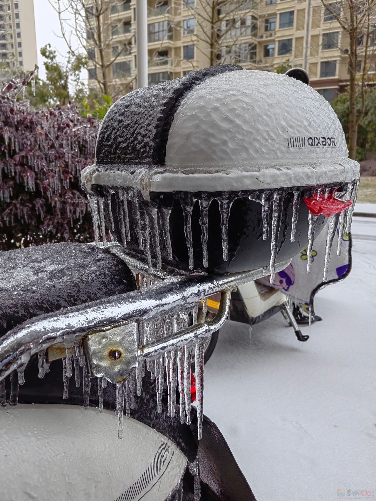 南方冻雨终于上热搜，这两天湖北人硬扛的样子太难了1000 / 作者:儿时的回忆 / 帖子ID:313501