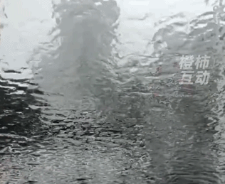 南方冻雨终于上热搜，这两天湖北人硬扛的样子太难了821 / 作者:儿时的回忆 / 帖子ID:313501