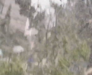 南方冻雨终于上热搜，这两天湖北人硬扛的样子太难了313 / 作者:儿时的回忆 / 帖子ID:313501