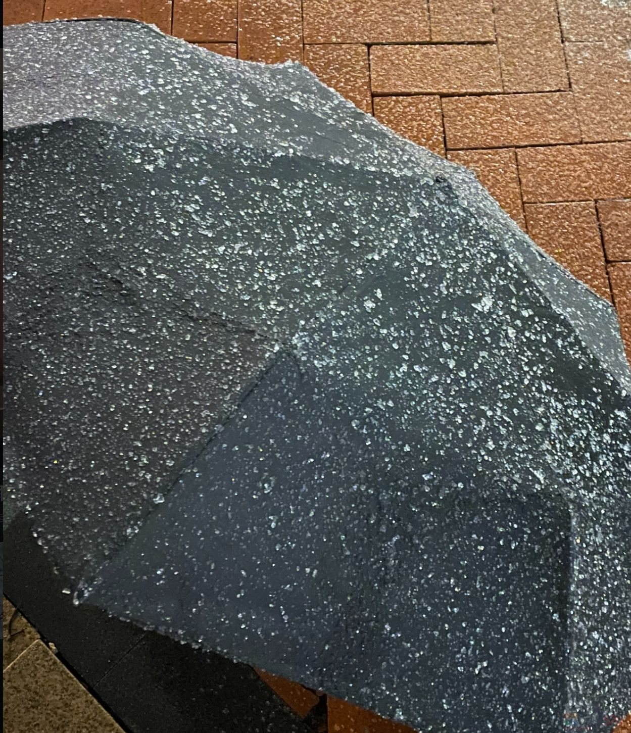 南方冻雨终于上热搜，这两天湖北人硬扛的样子太难了164 / 作者:儿时的回忆 / 帖子ID:313501