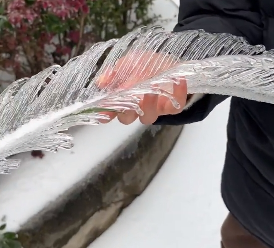 南方冻雨终于上热搜，这两天湖北人硬扛的样子太难了445 / 作者:儿时的回忆 / 帖子ID:313501